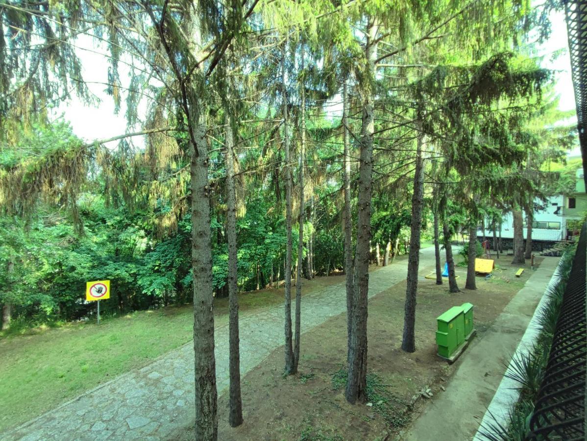 Park Hotel Briz Golden Sands Exteriör bild